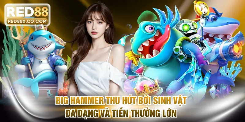 Big Hammer thu hút bởi sinh vật đa dạng và tiền thưởng lớn