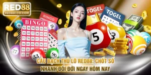 Cầu bạch thủ lô