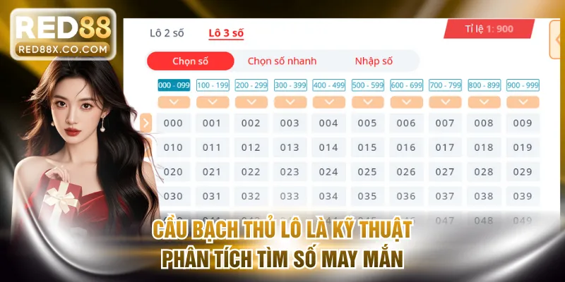 Cầu bạch thủ lô là kỹ thuật phân tích tìm số may mắn