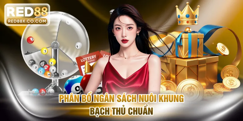 Phân bổ ngân sách nuôi khung bạch thủ chuẩn